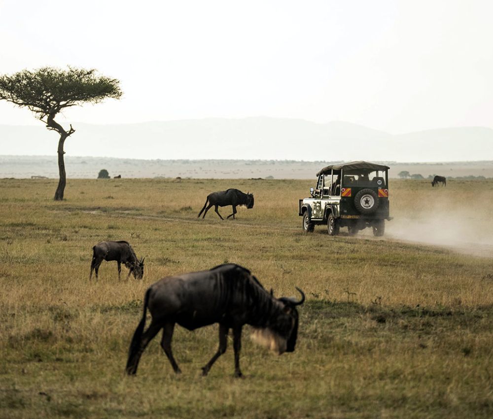 Tanzania Safari Cost